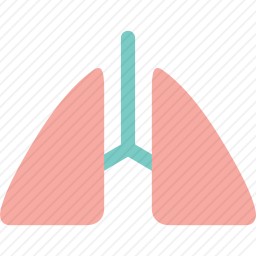 肺图标