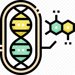 DNA图标