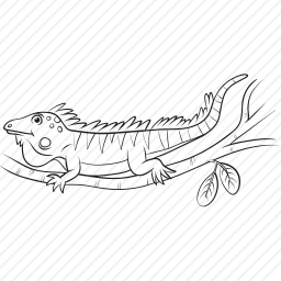 鬣鳞蜥图标