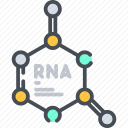 <em>RNA</em>图标