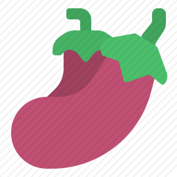 茄子图标