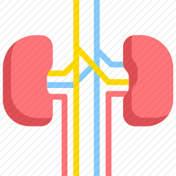 肾图标