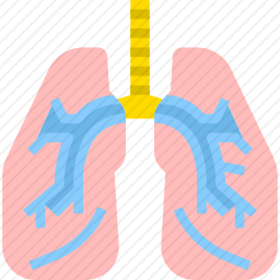 肺图标