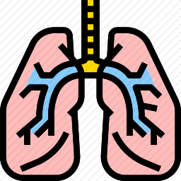 肺图标