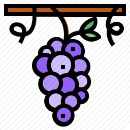 葡萄图标