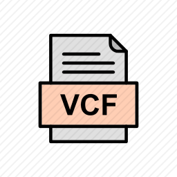 <em>VCF</em>图标