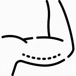 <em>Brachioplasty</em>图标