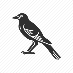 芬奇鸟图标