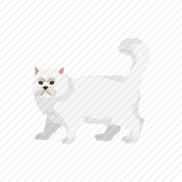 白色猫咪图标