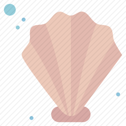 贝壳图标