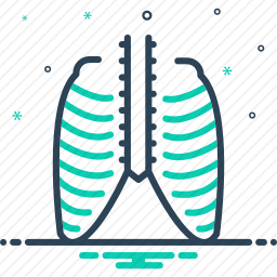 肋骨图标