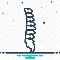 脊柱图标