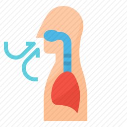 呼吸图标
