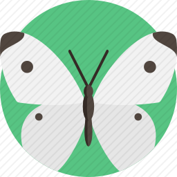 白菜蝴蝶图标