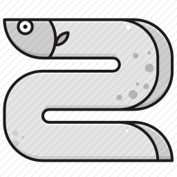 鳗鱼图标