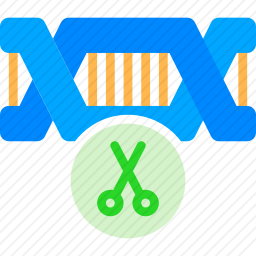 基因重组图标
