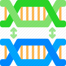 基因重组图标