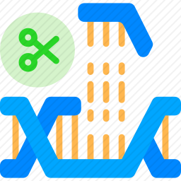 基因<em>重组</em>图标
