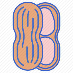 花生图标