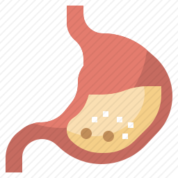 胃图标