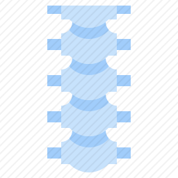 脊柱图标