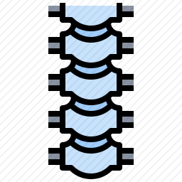 脊柱图标