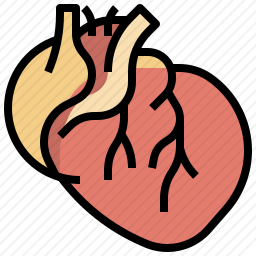 心脏图标