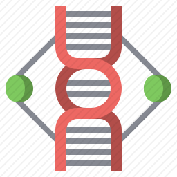 DNA结构图标