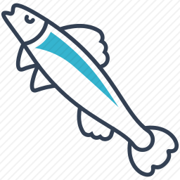 鲱鱼图标
