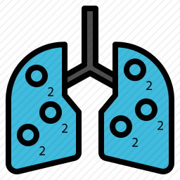 肺图标