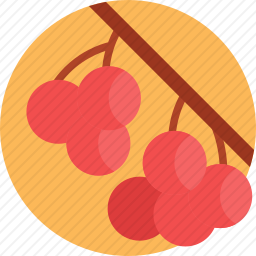浆果图标