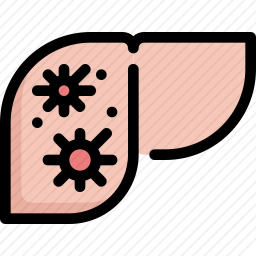 肝脏病毒图标