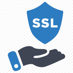 <em>SSL</em>图标