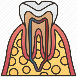 牙齿图标