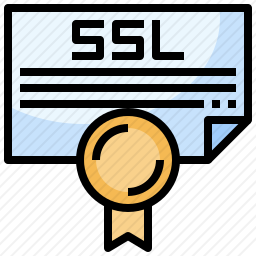 <em>SSL</em>图标
