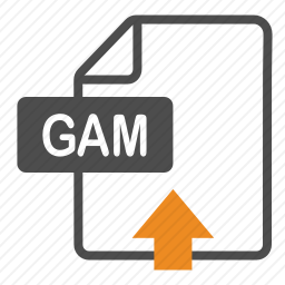 GAM图标