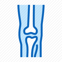 骨头图标