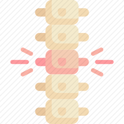 脊柱图标