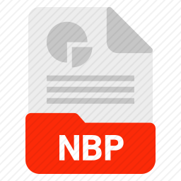 NBP文件图标
