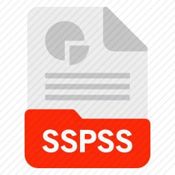 SSPSS系统图标