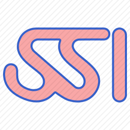 <em>SSI</em>图标