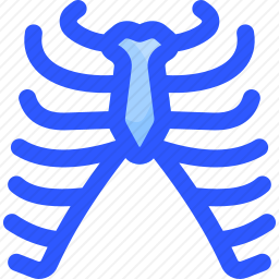 肋骨图标