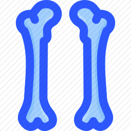 股骨图标