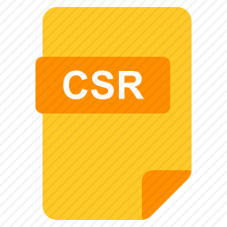 CSR文件图标