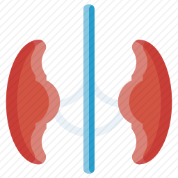 肾图标