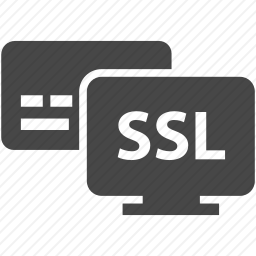 SSL图标