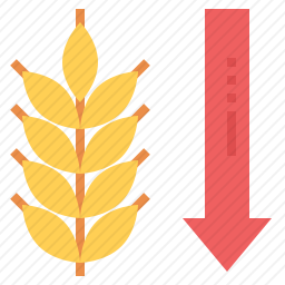 碳水化合物图标