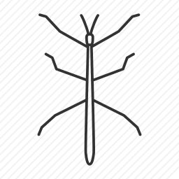 竹节虫图标
