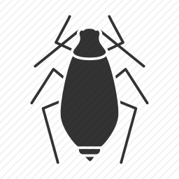 蚜虫图标
