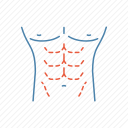 <em>腹肌</em>图标